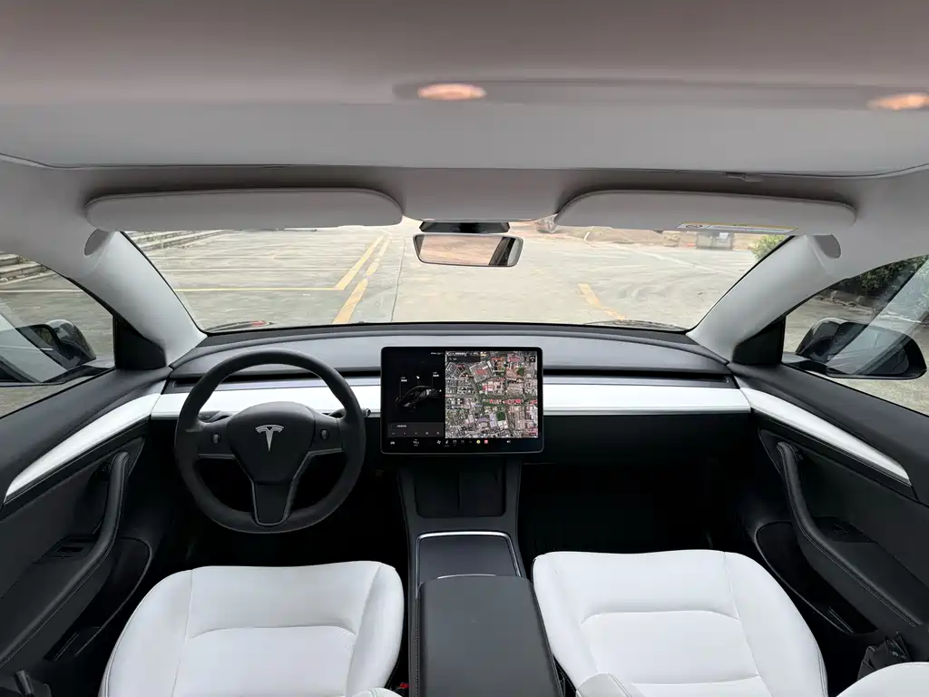 Model 3 Standard Range Rear-Wheel Drive Plus 2021