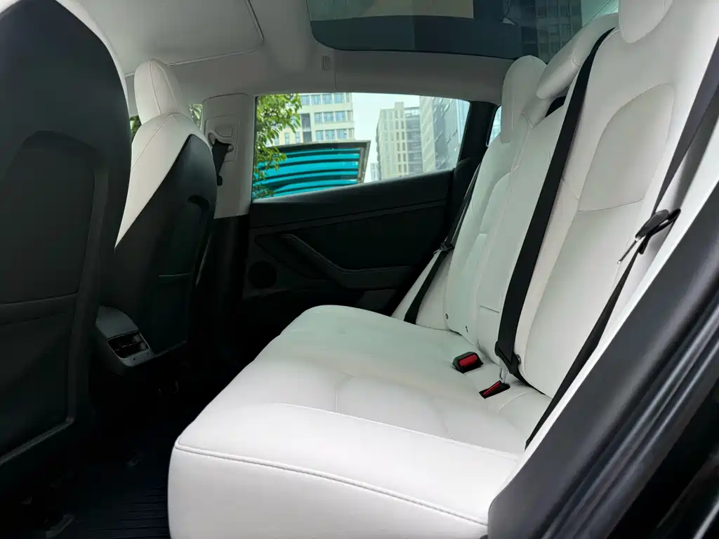 Model 3 Standard Range Rear-Wheel Drive Plus 2021