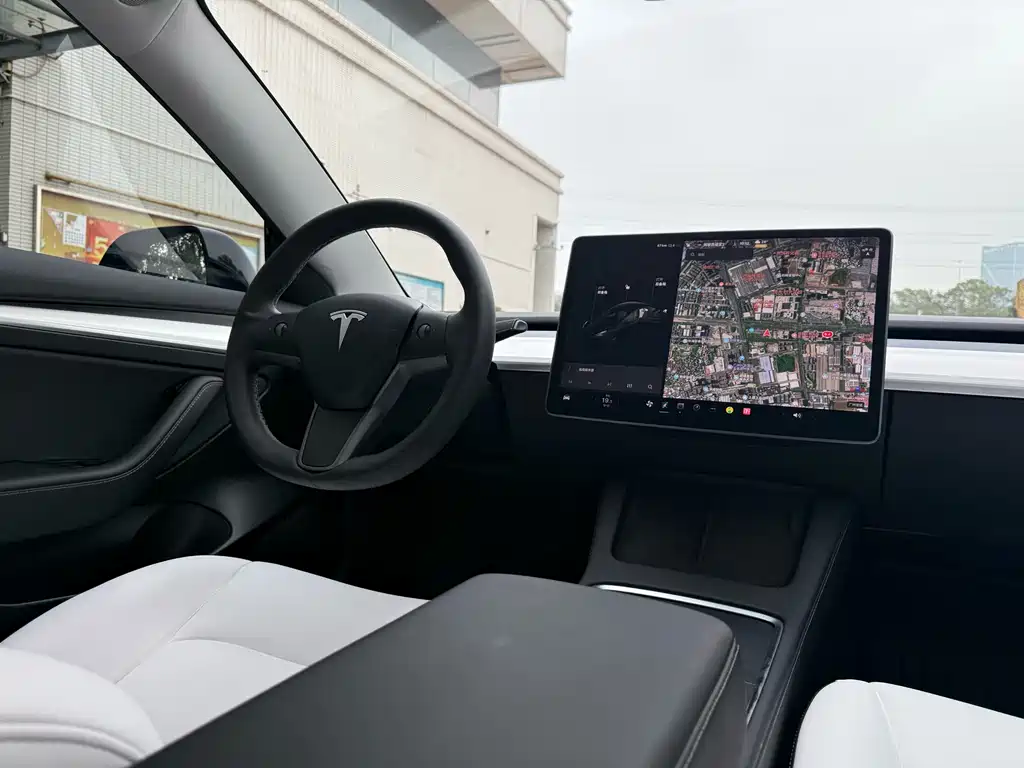 Model 3 Standard Range Rear-Wheel Drive Plus 2021