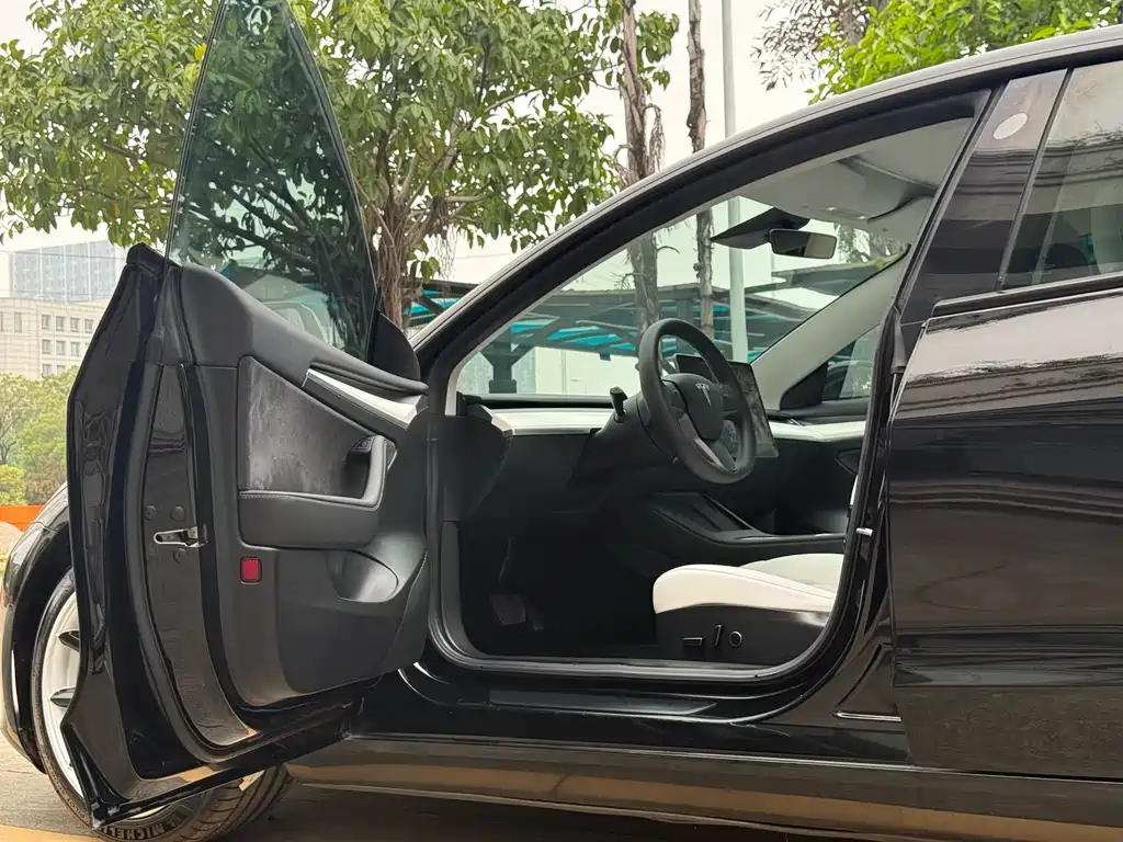 Model 3 Standard Range Rear-Wheel Drive Plus 2021