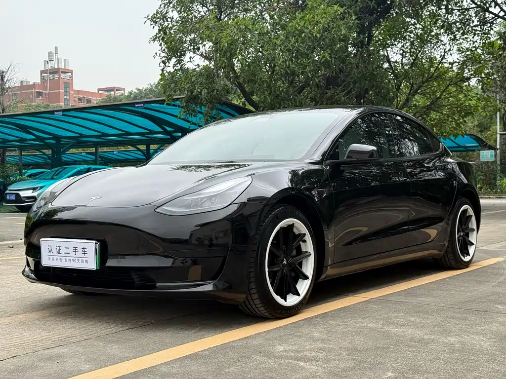 Model 3 Standard Range Rear-Wheel Drive Plus 2021