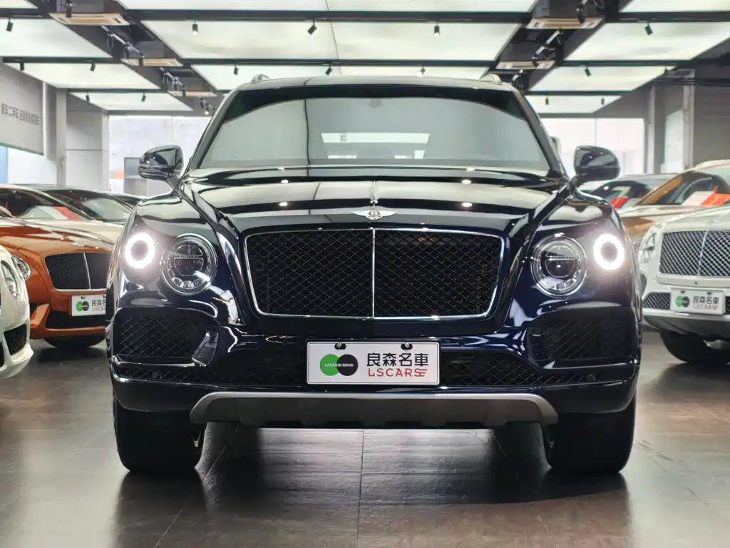 Tianyu 2018 Model 4.0T V8