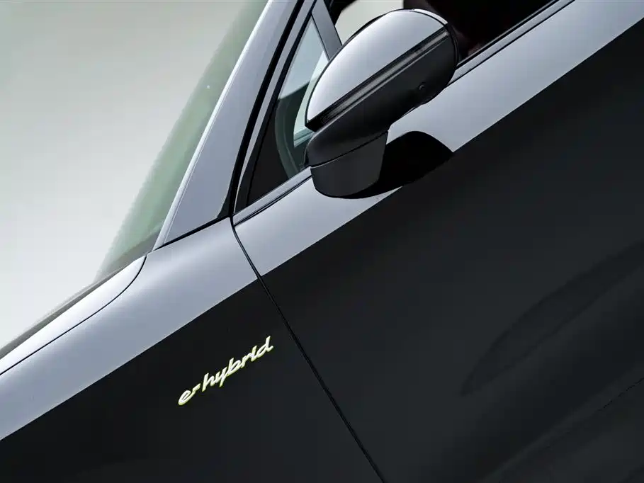 Cayenne New Energy 2024 Model Cayenne E-Hybrid 2.0T