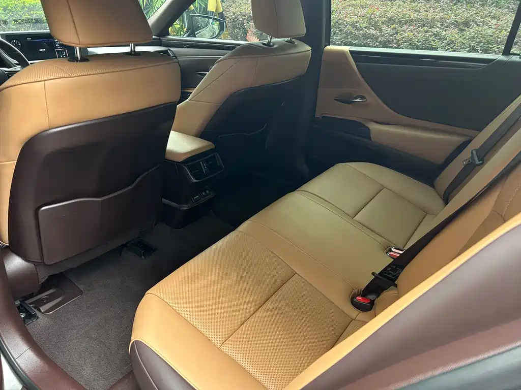 Lexus ES 2018 300h Excellence Edition National V