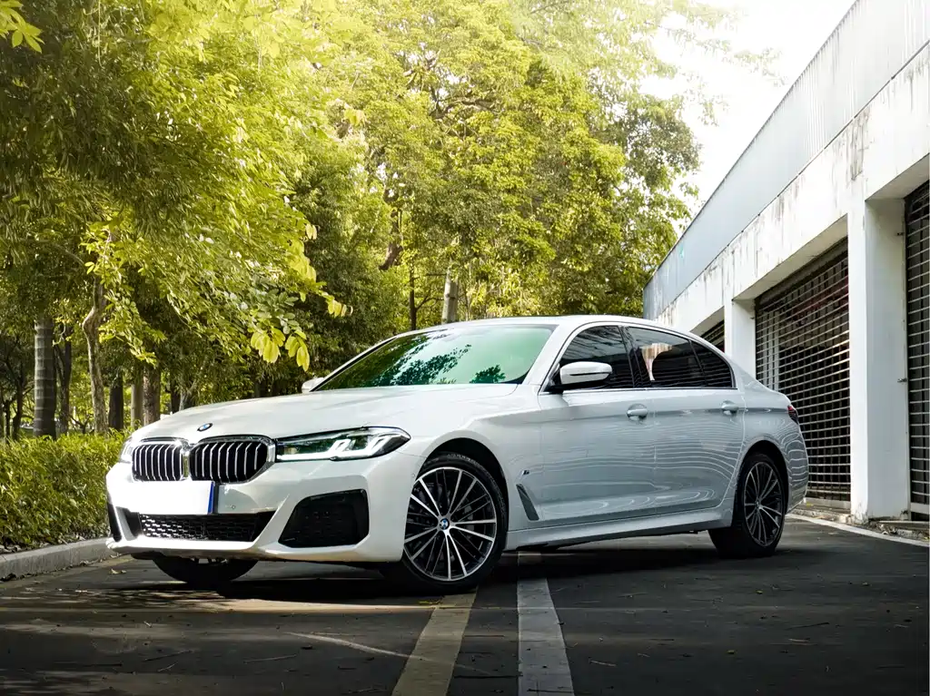 BMW 5 Series 2021 530Li Leading Edition M Sport Package