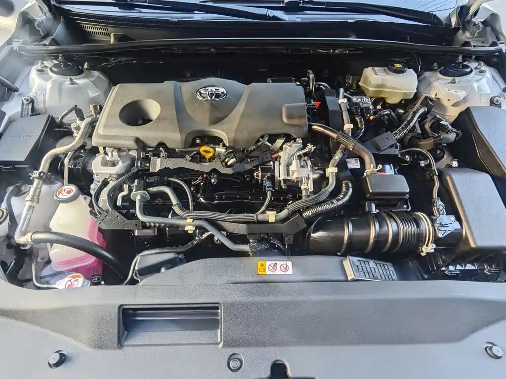 Asia Dragon 2019款 Hybrid 2.5L XLE Prestige Edition National V
