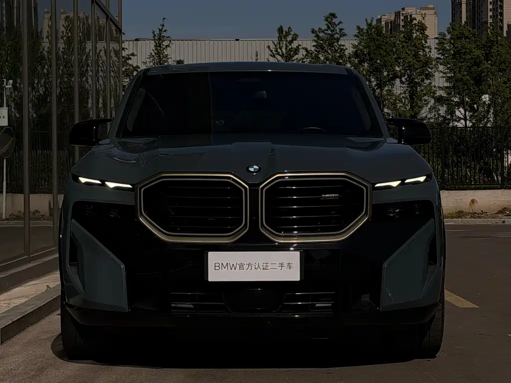 BMW XM 2023 Basic Model