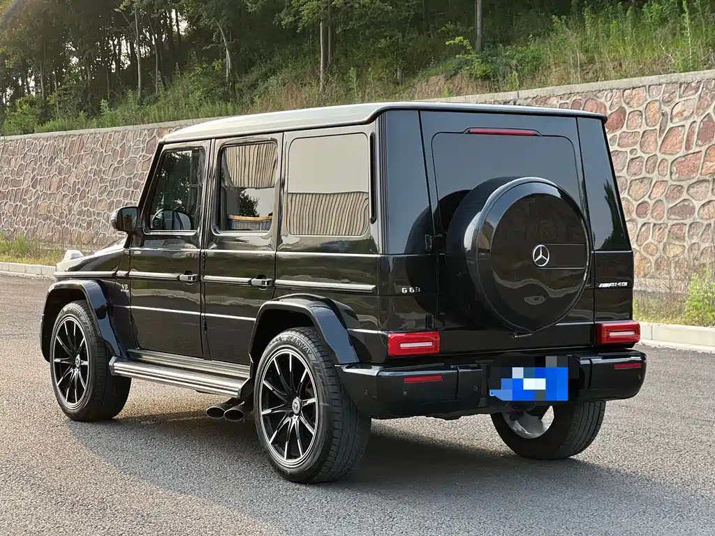 Mercedes-Benz G-Class 2010 G 500