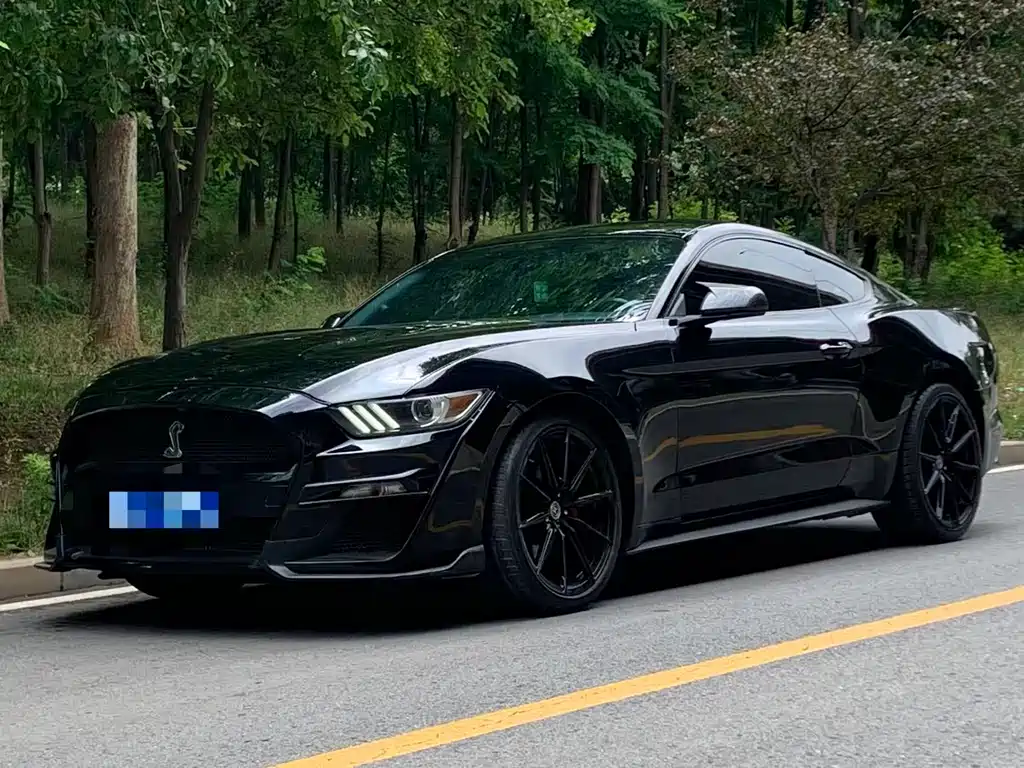 Mustang 2017 2.3T Performance Edition