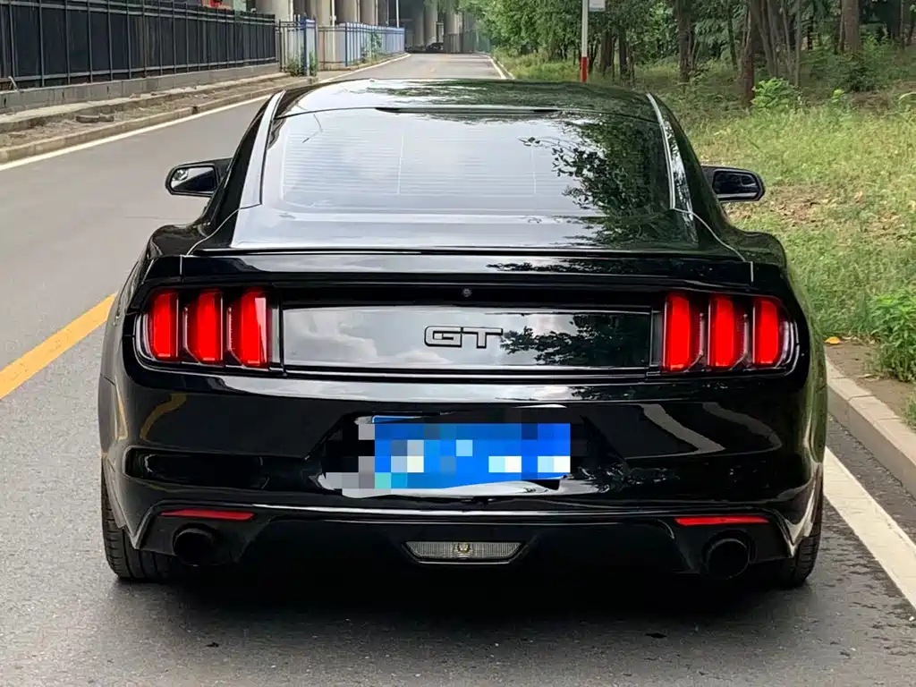 Mustang 2017 2.3T Performance Edition