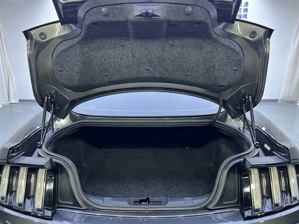 Mustang 2017 2.3T Performance Edition