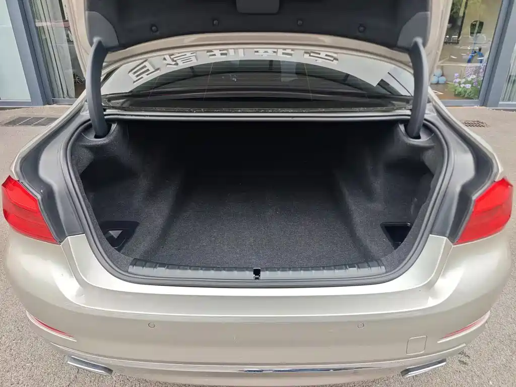BMW 5 Series 2020 530Li Leading Edition Luxury Package