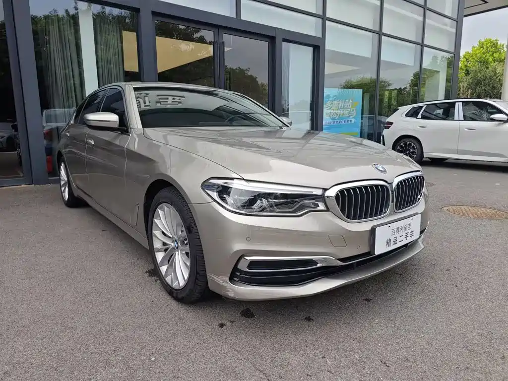 BMW 5 Series 2020 530Li Leading Edition Luxury Package