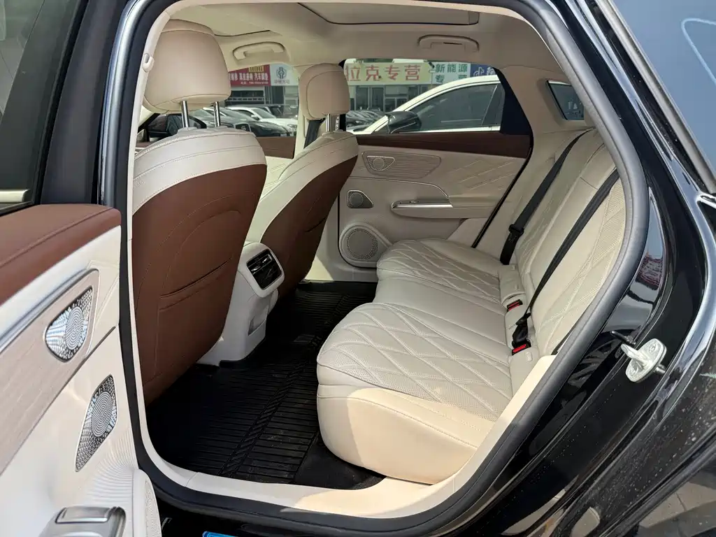Fengyun A9L 2025 Edition 260 Ultra-long Range Prestige Version