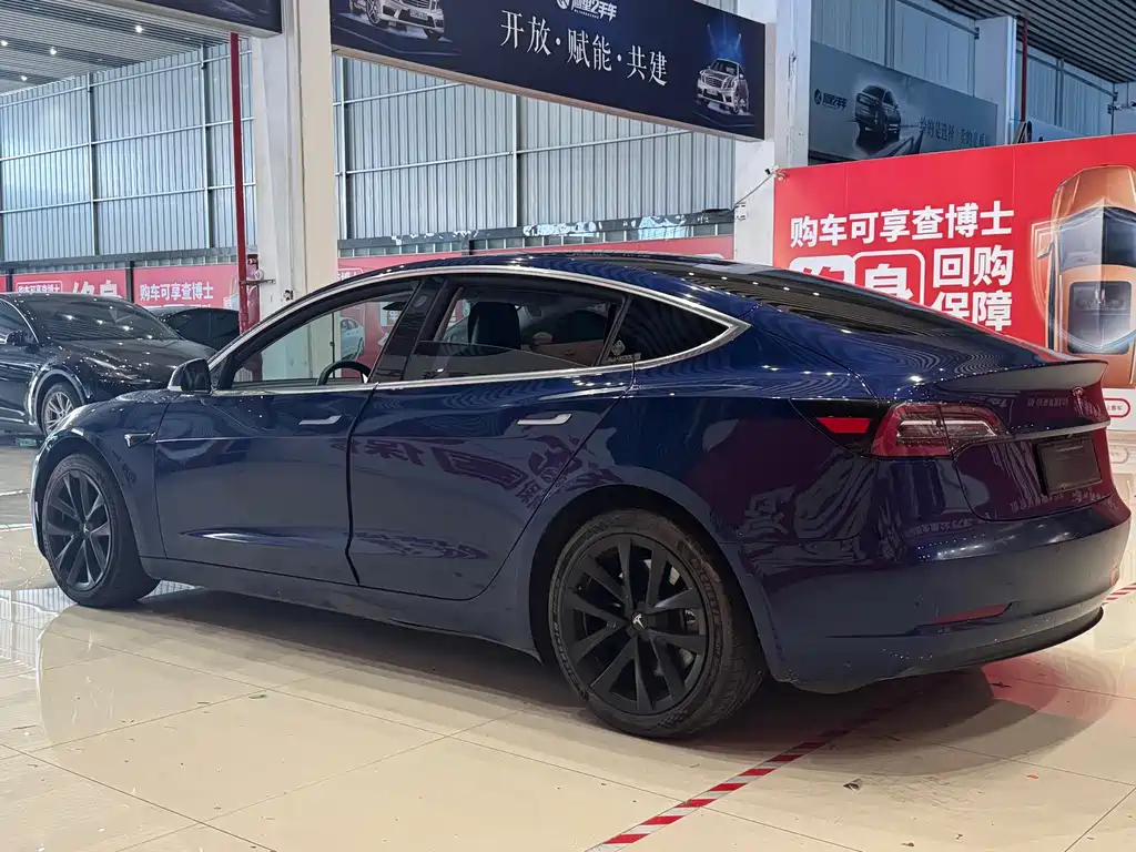 Model 3 Long Range Rear-Wheel Drive 2019 Import Edition