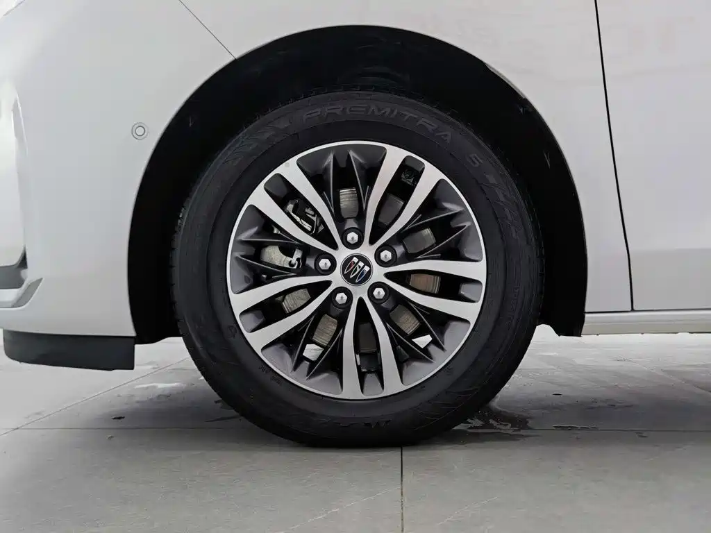 Buick GL8 2025 Limited Edition Executive Coach DG-YZ Version
