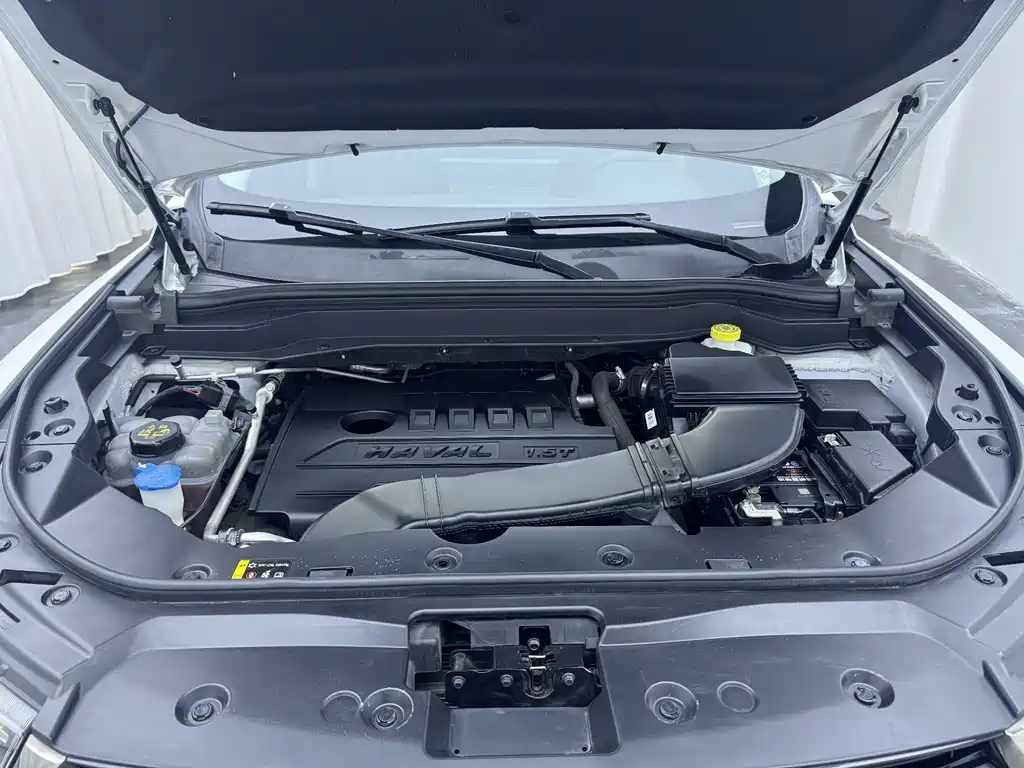 Haval H6 2021 Model National Style Edition 1.5T Automatic Champion Edition