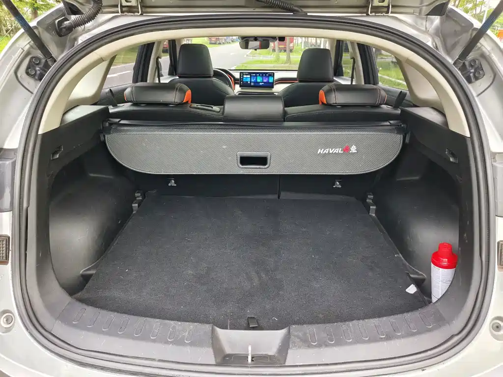 Haval H5 2021款 激擎版 1.5T 黄金兔