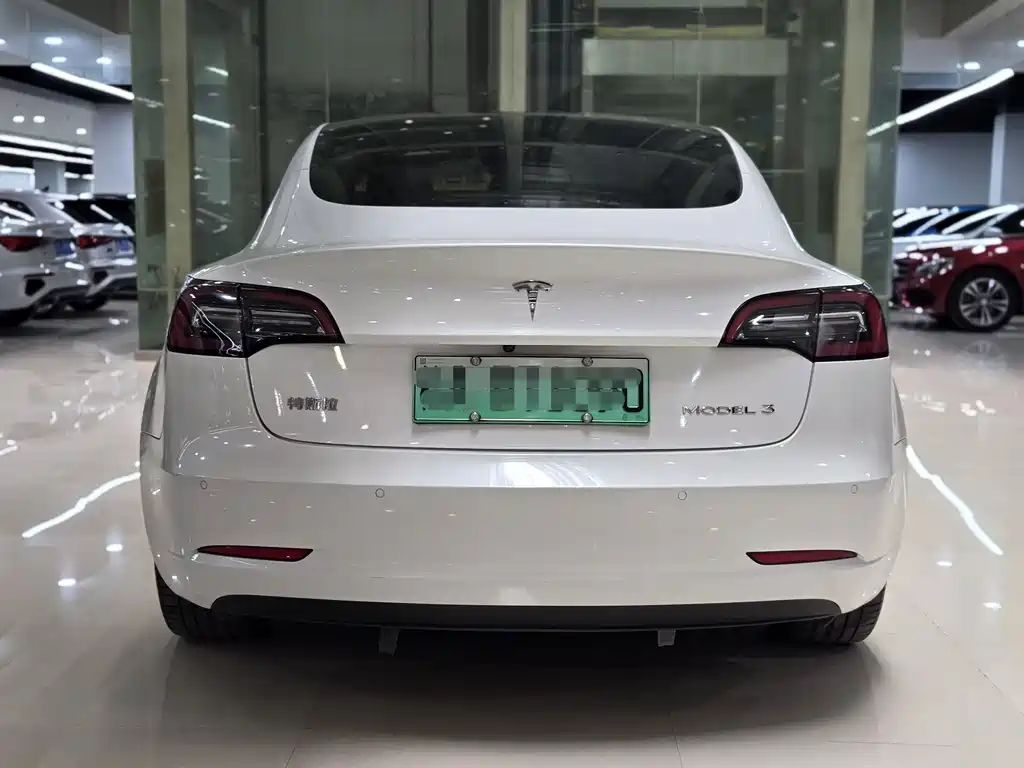 Model 3 Rear-Wheel Drive 2022