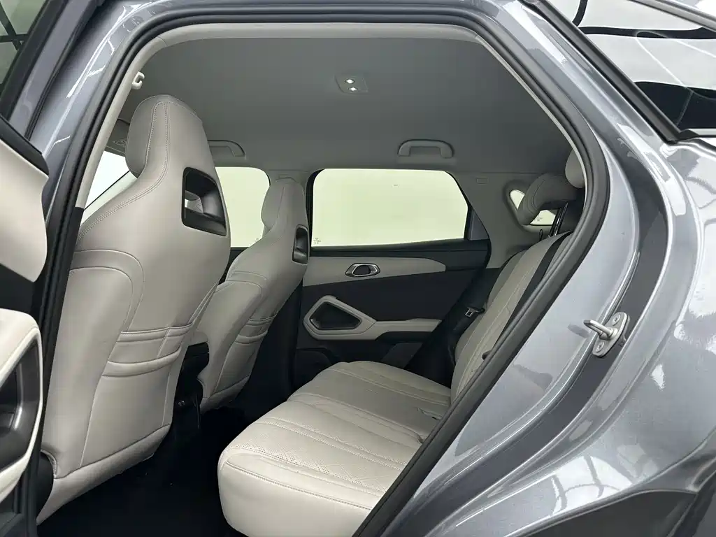 Yuan UP 2024 Model 401KM Vitality Edition