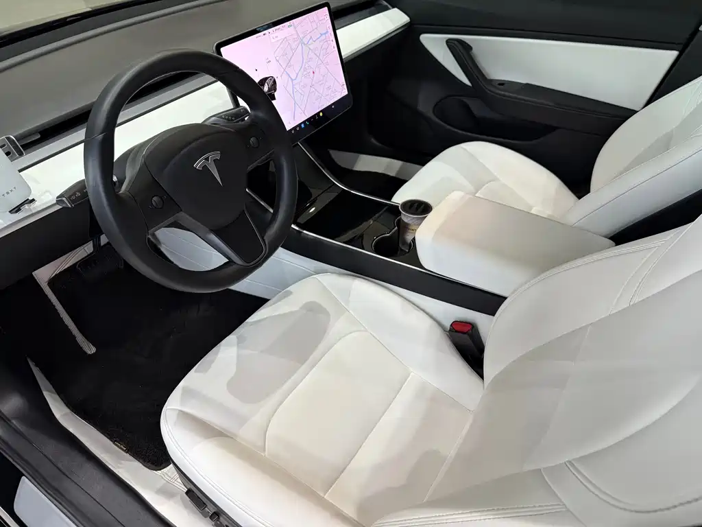 Model 3 Long Range All-Wheel Drive 2019 Import Edition