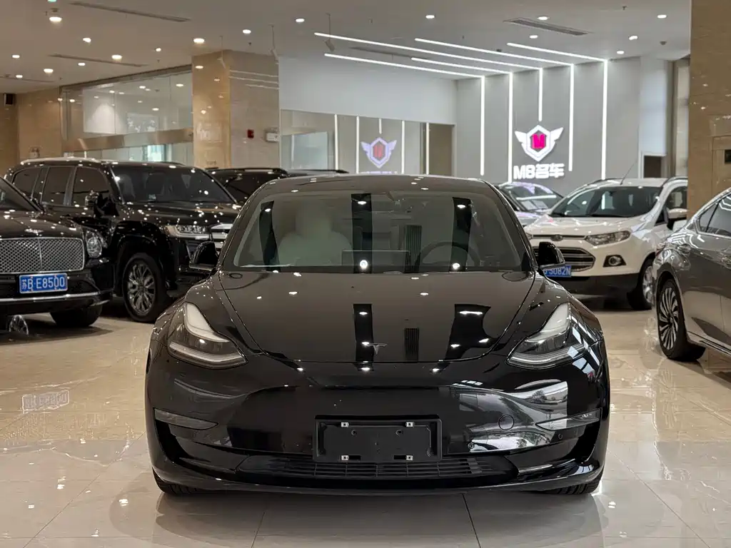 Model 3 Long Range All-Wheel Drive 2019 Import Edition