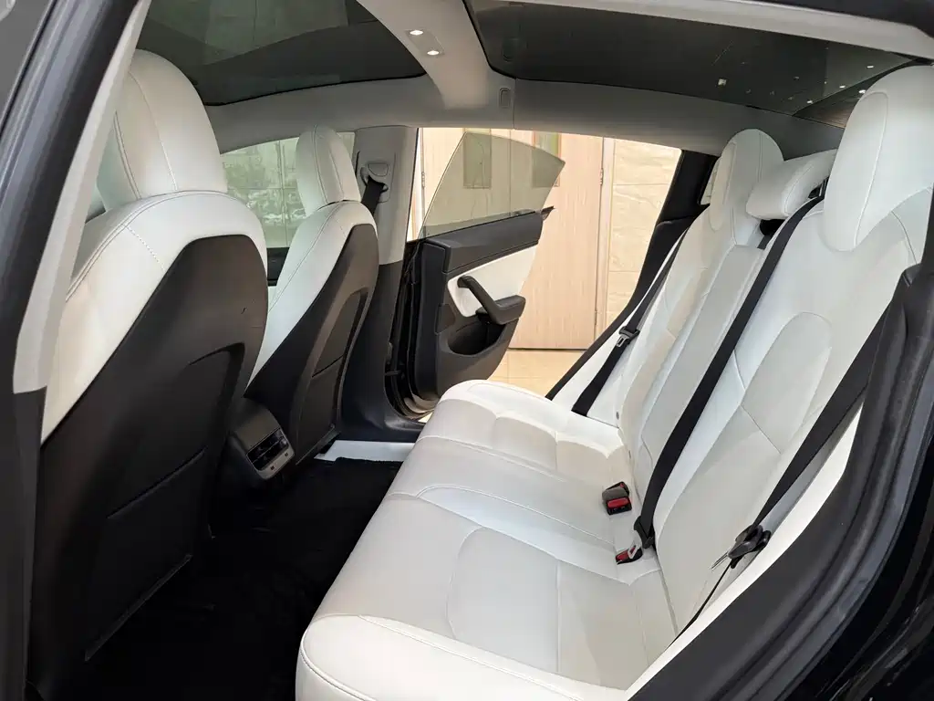 Model 3 Long Range All-Wheel Drive 2019 Import Edition
