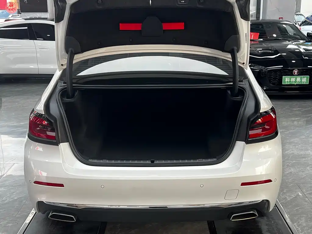 BMW 5 Series 2021 525Li Luxury Package