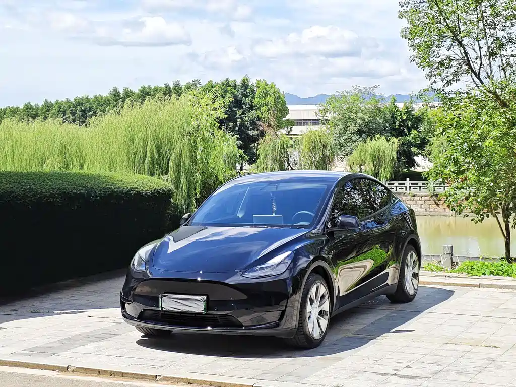 Model Y 2022 Rear-Wheel Drive Edition