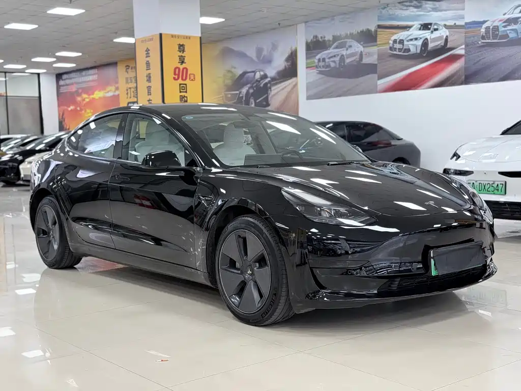 Model 3 Rear-Wheel Drive 2022