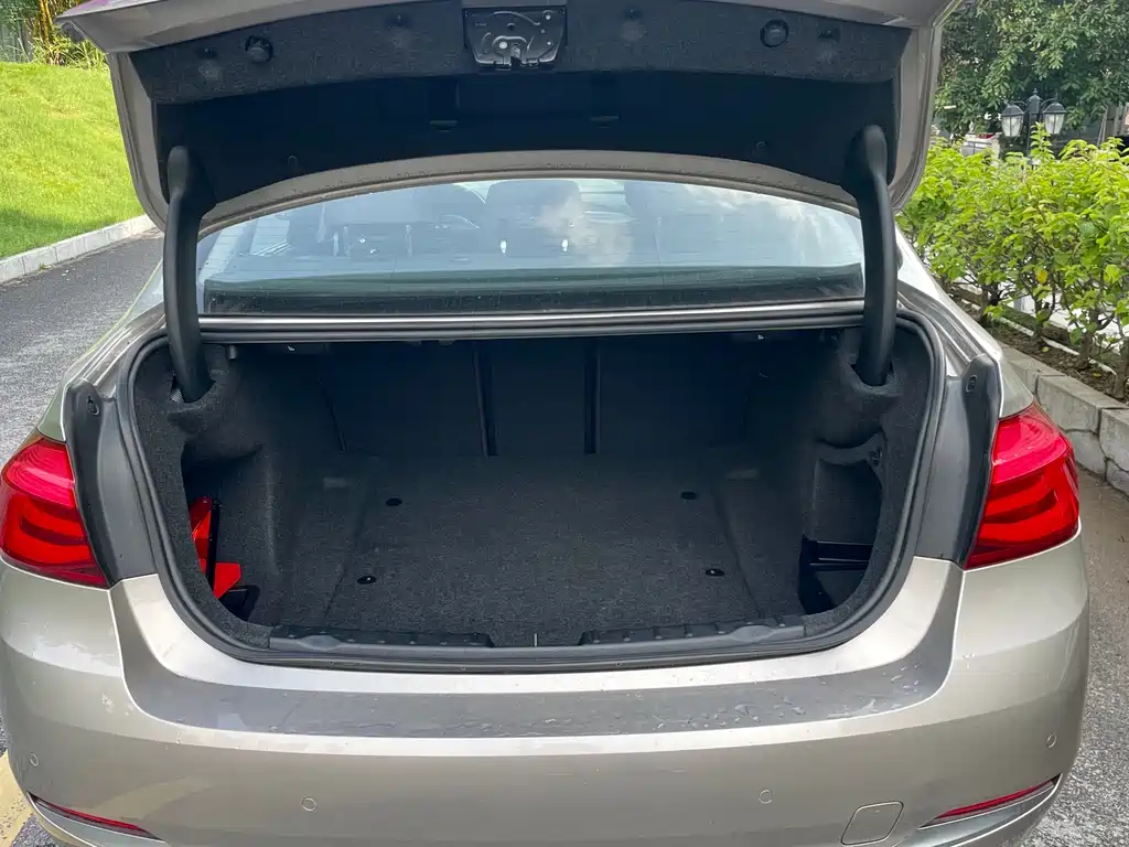 BMW 3 Series 2019 320Li Sport Line