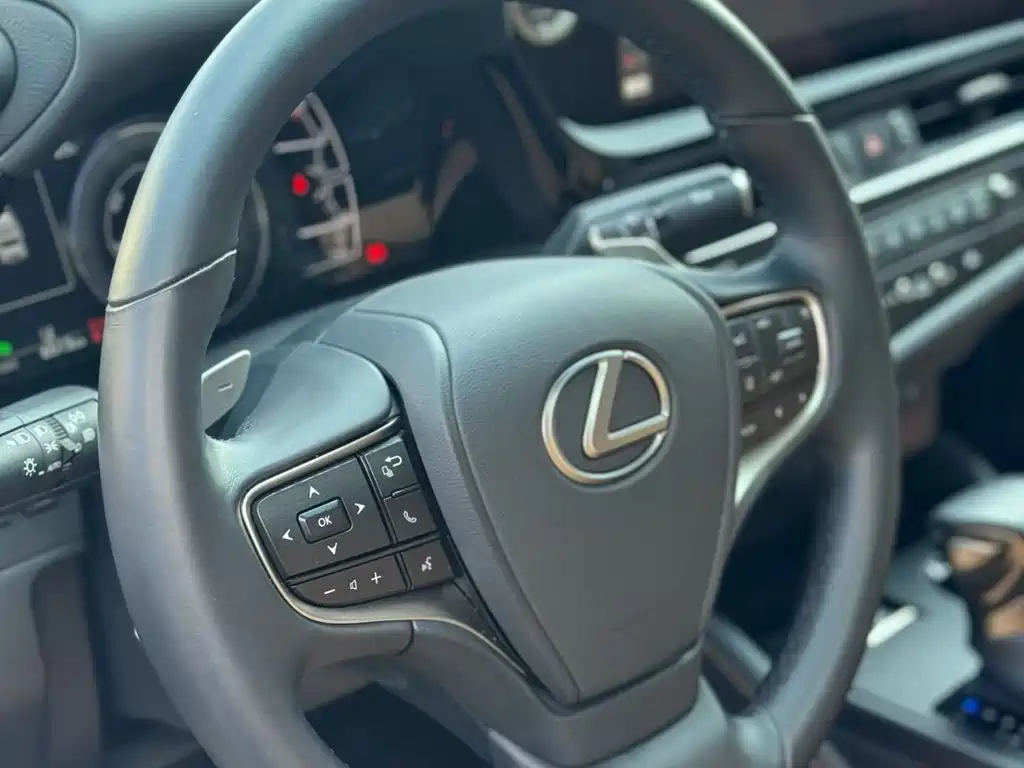 Lexus ES 2022 300h Premium Edition