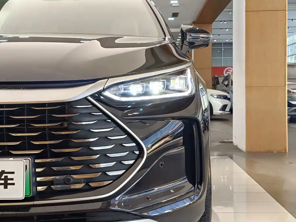 Tang New Energy 2025 Model Intelligent Driving Edition DM-i 115KM Flagship Type