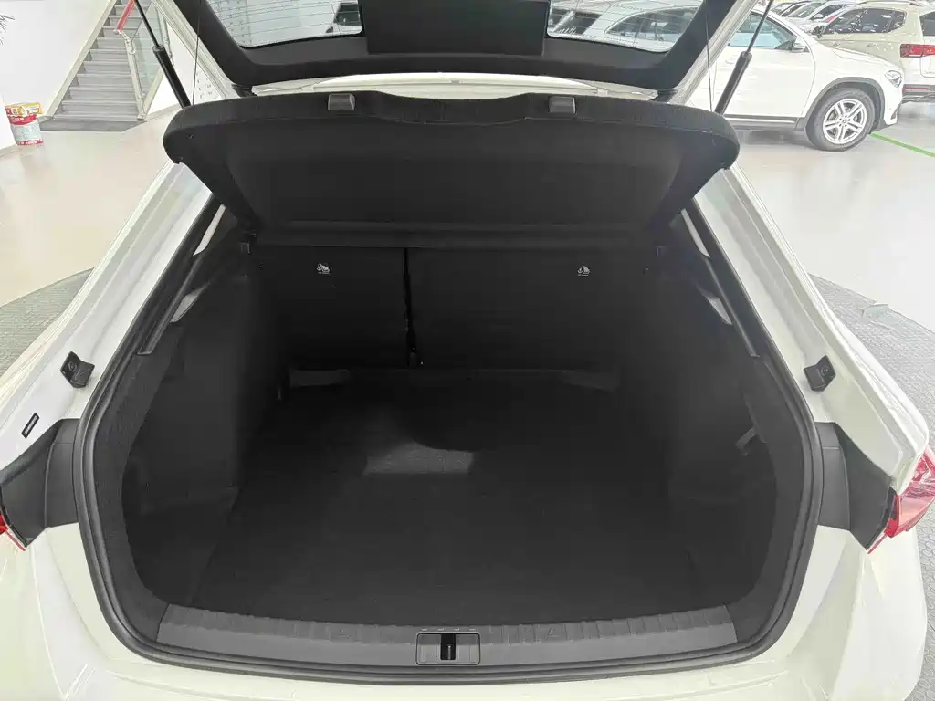Volkswagen Magotan 2022 PRO TSI280 Luxury Edition