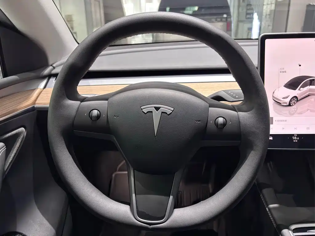 Model Y 2022 Rear-Wheel Drive Edition