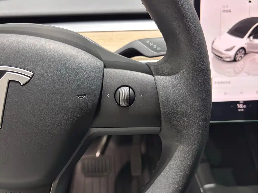 Model Y 2022 Rear-Wheel Drive Edition