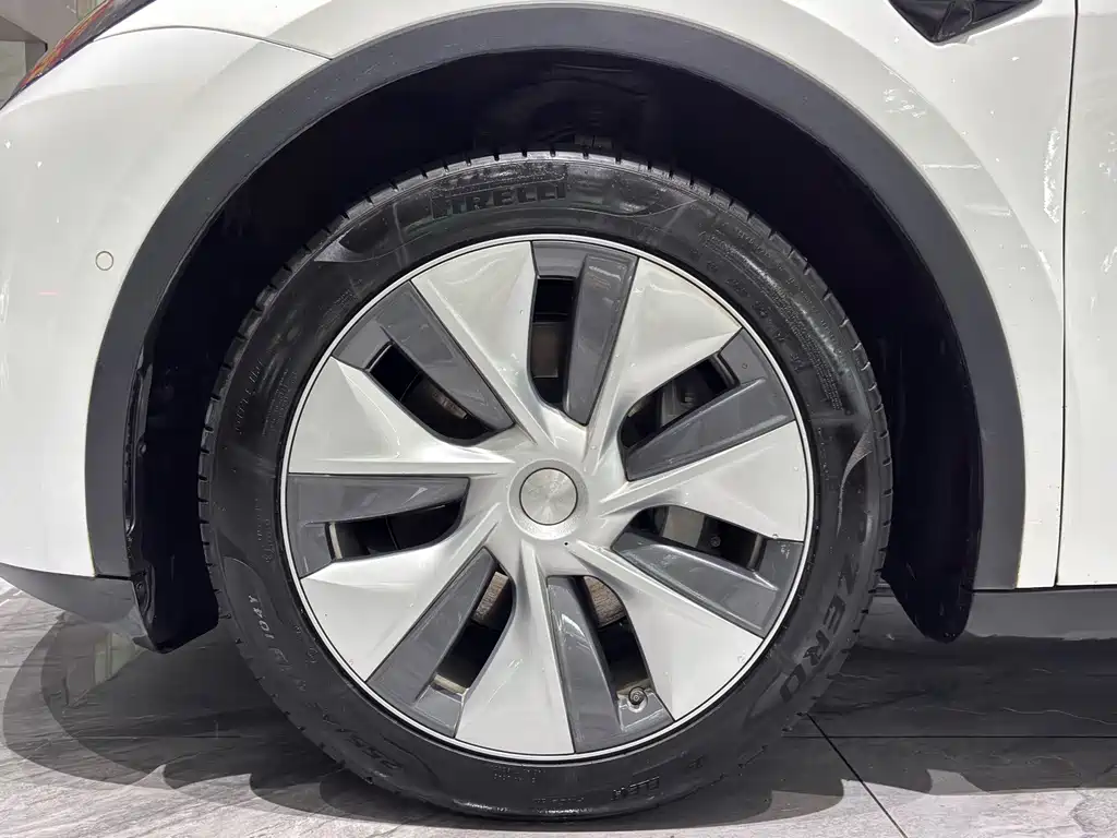 Model Y 2022 Rear-Wheel Drive Edition