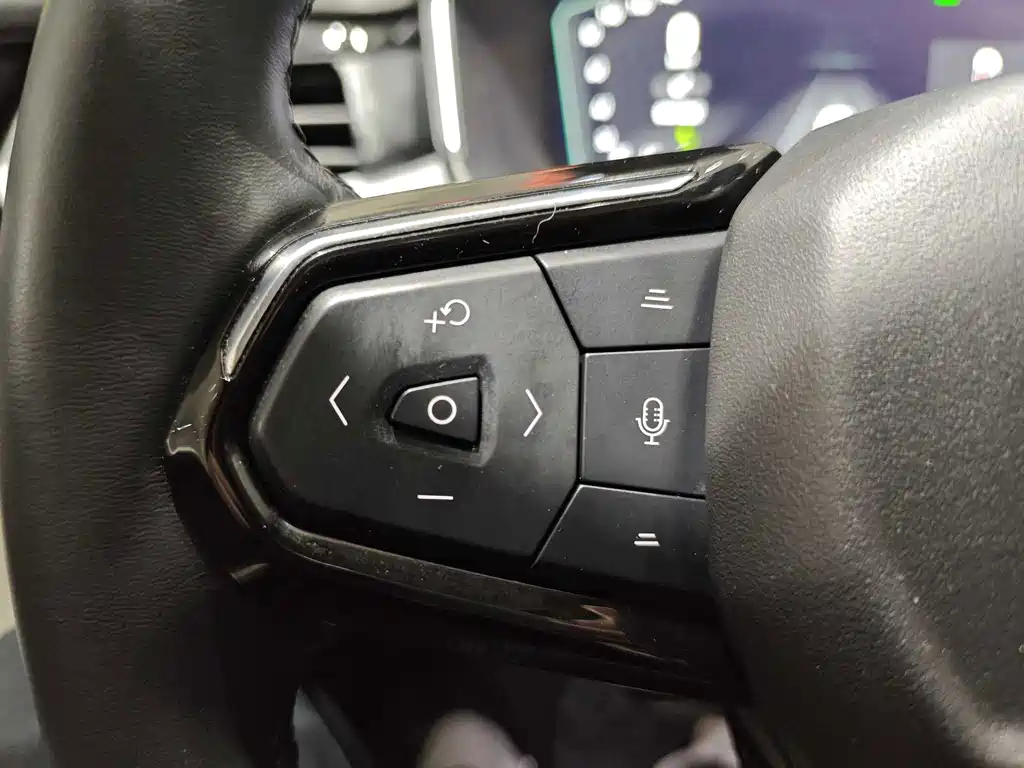 LEON 06 EM-P 2022 Model PHEV 84KM Range Pro