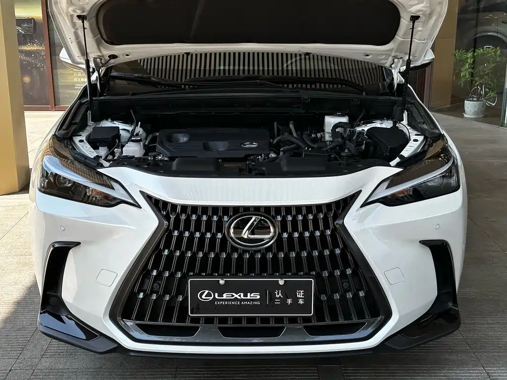 Lexus NX 2023 350h Front-wheel Drive Creativity Edition