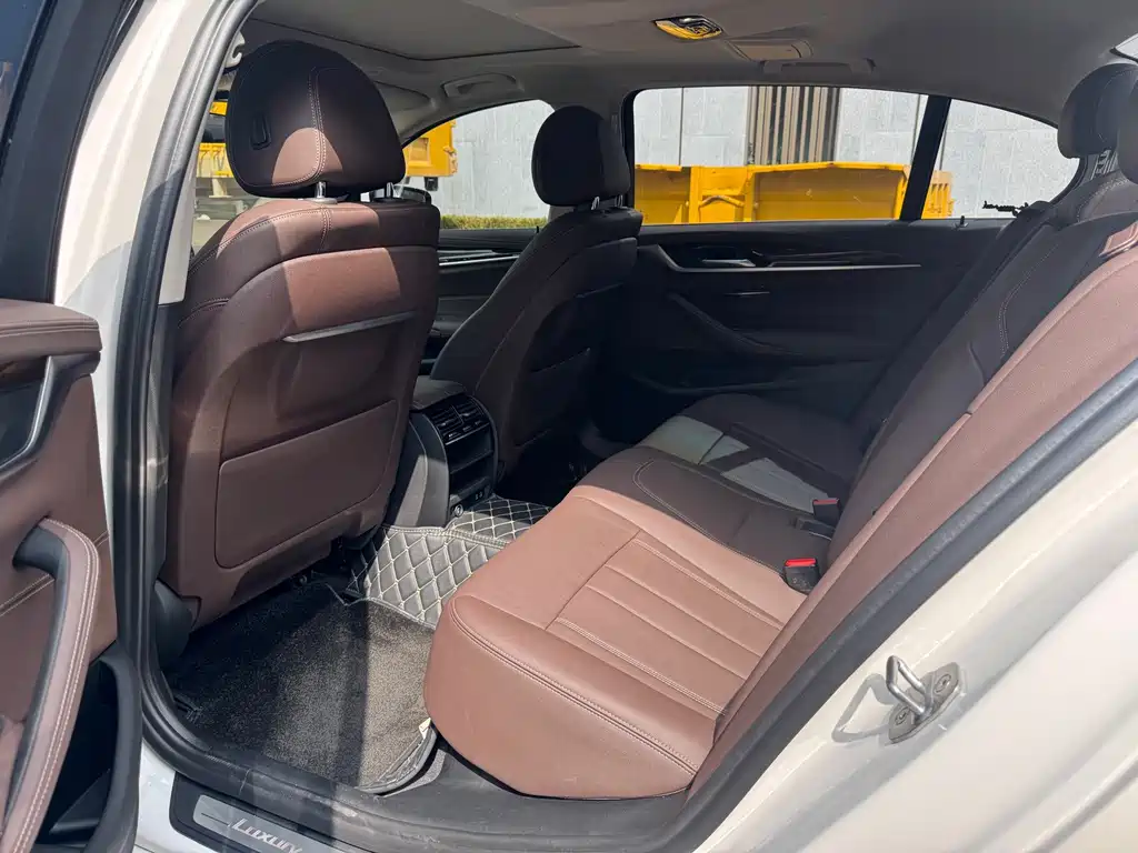 BMW 5 Series 2020 525Li Luxury Package