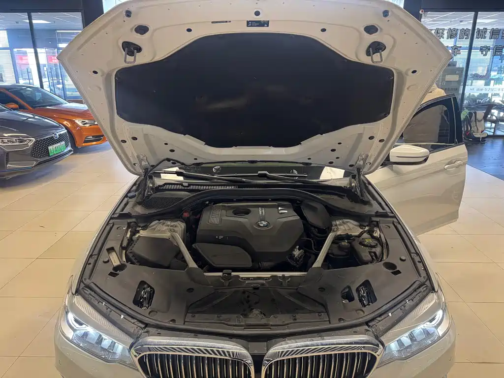 BMW 5 Series 2020 525Li Luxury Package