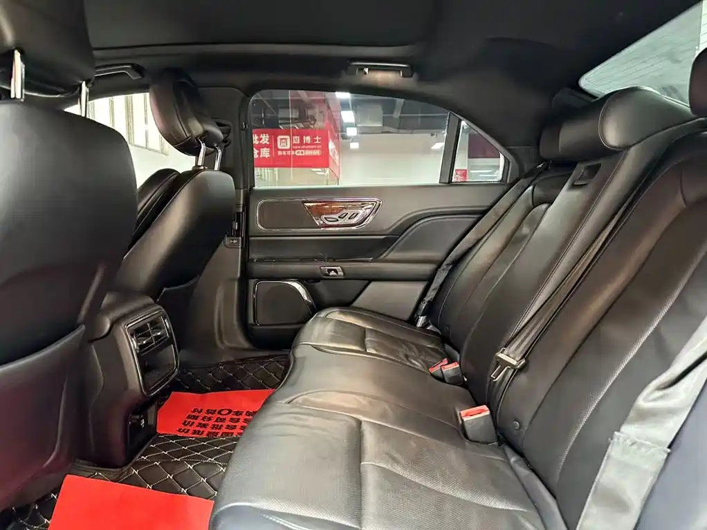 Lincoln Continental 2019 2.0T Two-wheel-drive尊雅版 National V