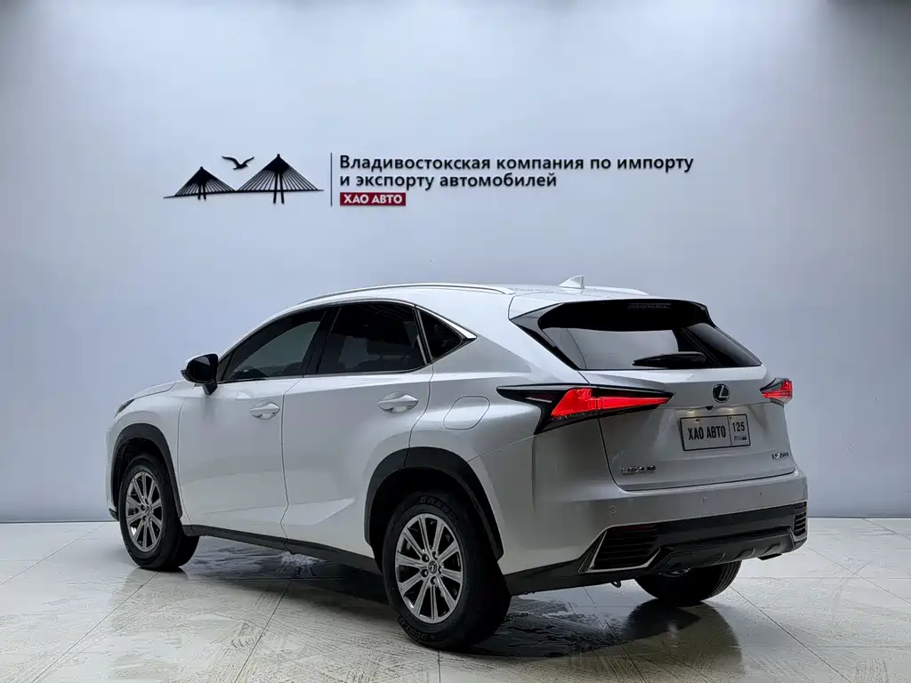 Lexus NX 2020 200 All-Wheel Drive Fengshang Edition National V