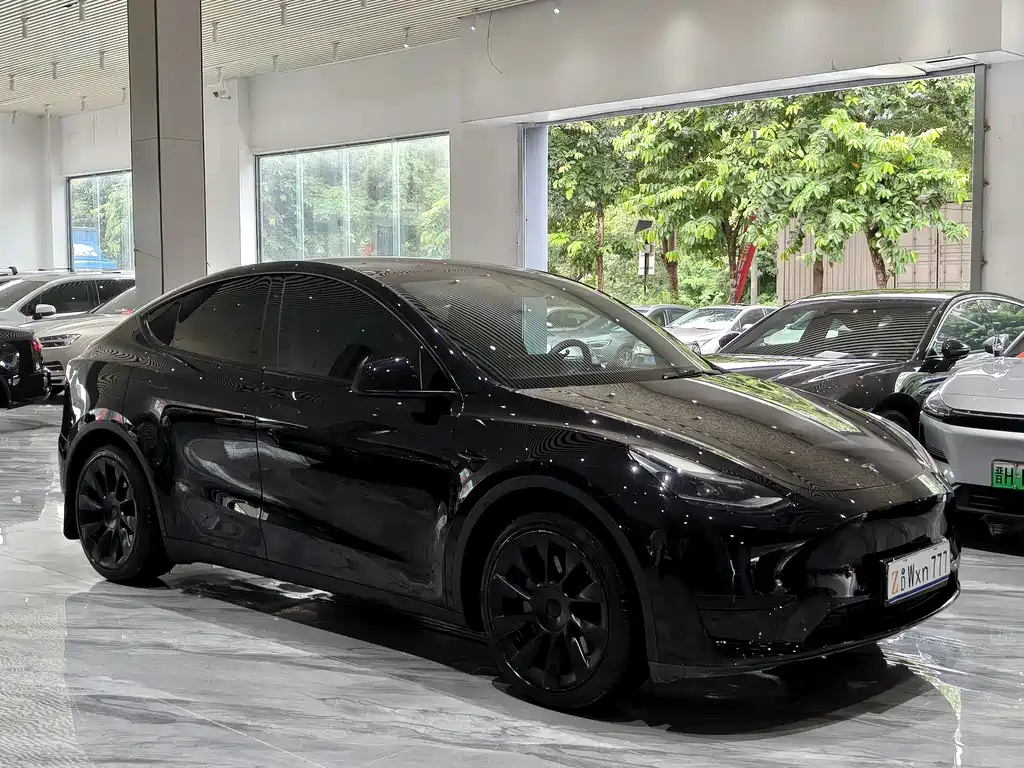 Model Y 2022 Rear-Wheel Drive Edition