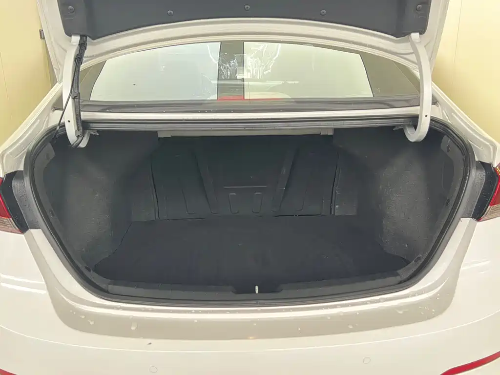 Leonding 2016 1.6L Automatic ZhiXuan·Luxury Edition