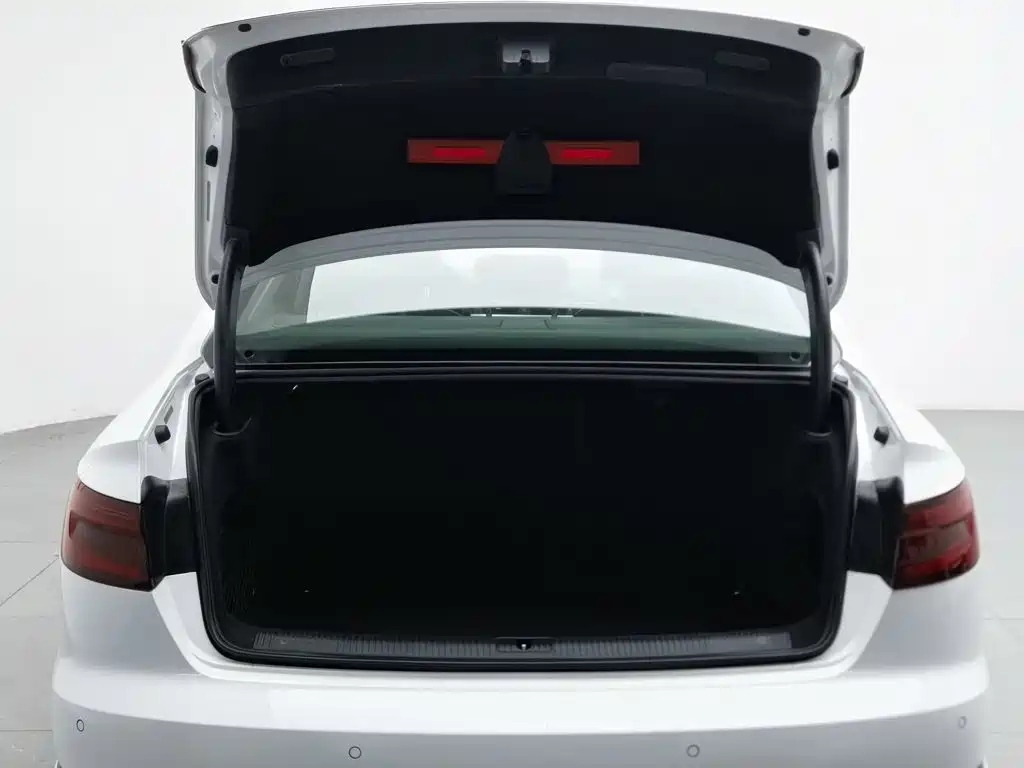 Audi A4L 2019 40 TFSI Fashion Edition National VI