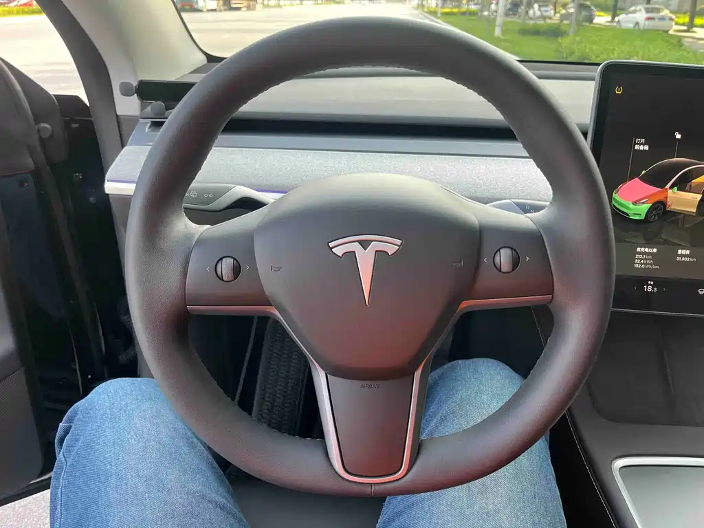 Model Y 2023 Rear-Wheel Drive Edition