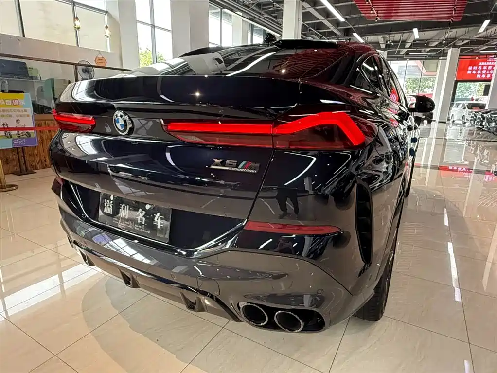 BMW X6 2021 xDrive40i Luxury Edition M Sport Package