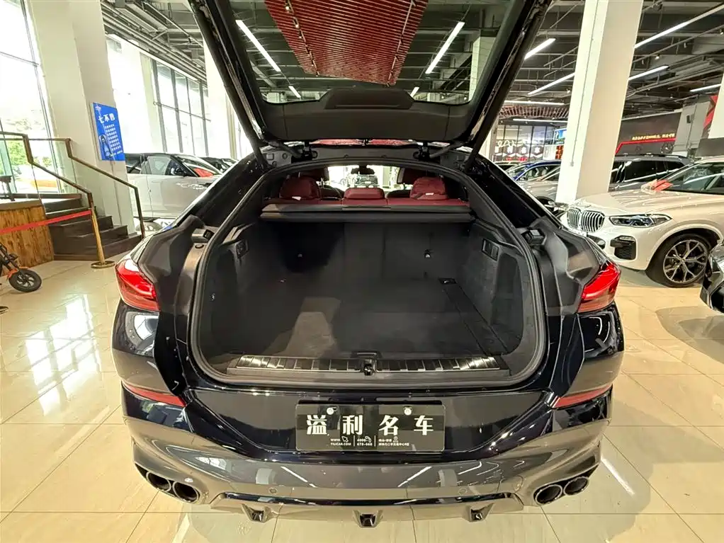 BMW X6 2021 xDrive40i Luxury Edition M Sport Package