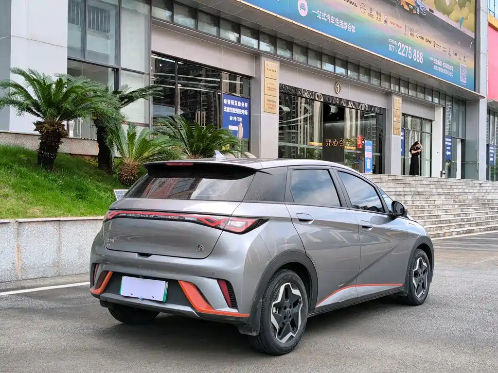Dolphin 2021 405km Fashion Edition